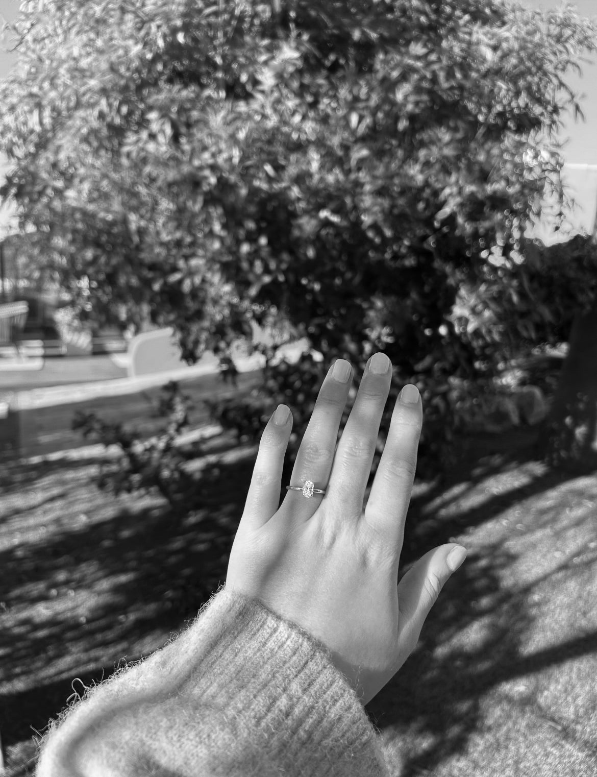 A ring to cherish forever