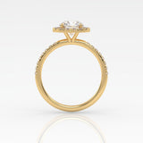 The Round Solitaire with Pavé band and Halo