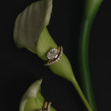 Pavé Floating Curve Ring
